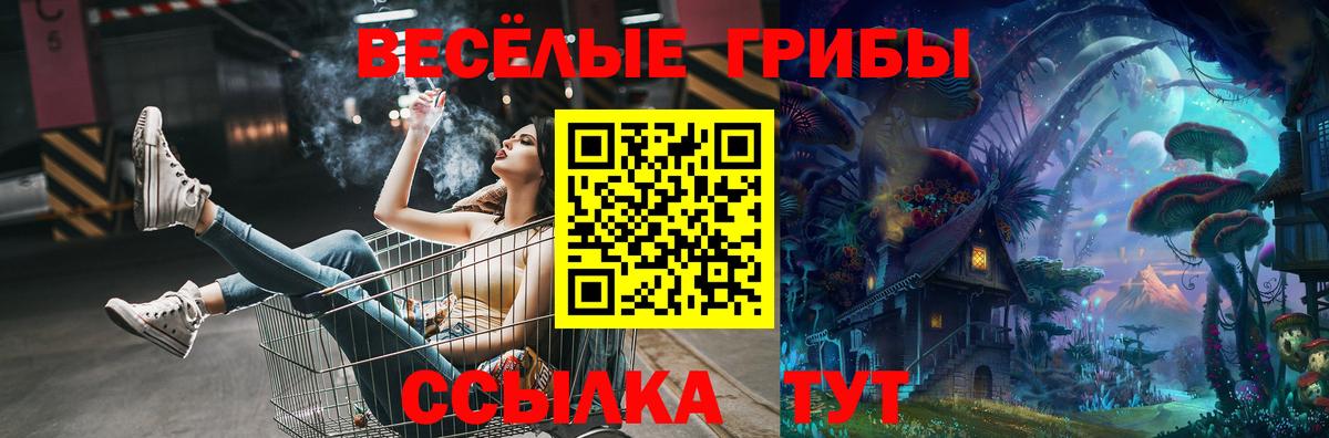 Обнинск  Галлюциногенные грибы мицелий  даркнет сайт  Вход с VPN 